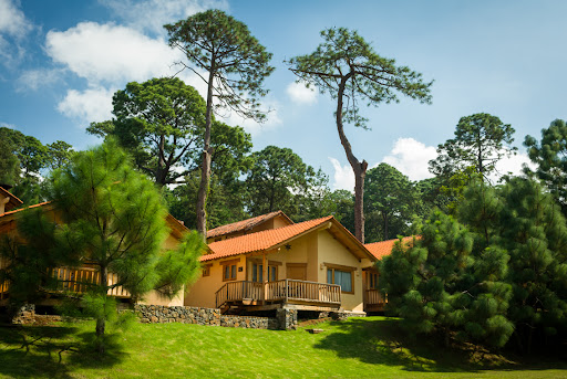 Bosque Escondido